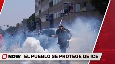 El Pueblo Unido Se Protege de ICE