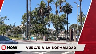 MacArthur Park Vuelve a la Normalidad