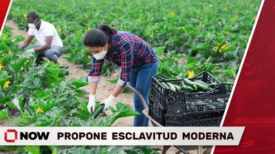 Trump: Responsabilidad del Patrón y Esclavitud Moderna