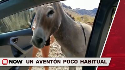 Un Aventón Poco Habitual