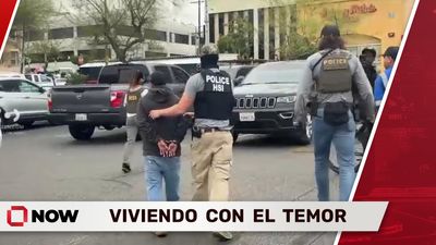 El Miedo Cotidiano Entre Indocumentados