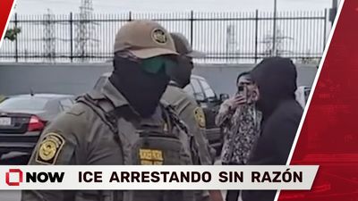 ICE Arresta Personas Sin Razón