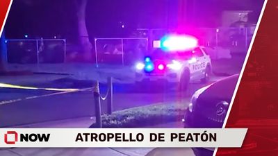 Atropello de Peatón Bajo Investigación