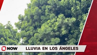 Lluvia en Los Ángeles	