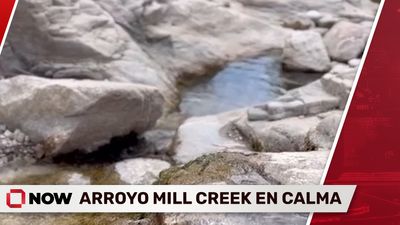 Riachuelo Mill Creek en Calma