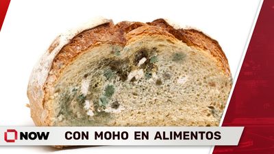 Inmigrantes Denuncian Moho en Alimentos