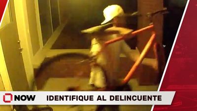 Robo de Bicicleta en 27th y Grainger