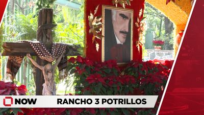 Una Visita al Rancho 3 Potrillos