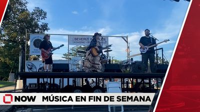 Disfrutando de la música en Fin se Semana