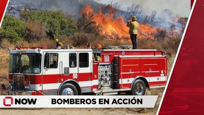Incendio de Vehículo