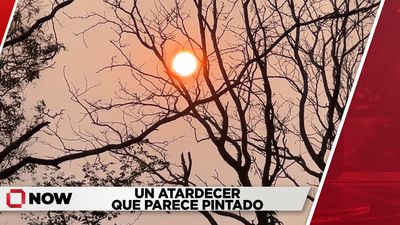 Atardecer con neblina en Lincoln