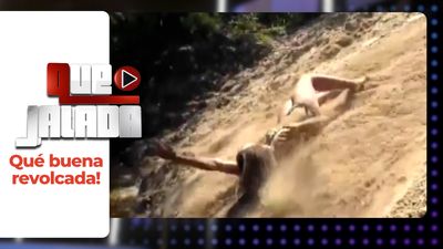 Que buena revolcada