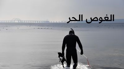 الغوص الحر