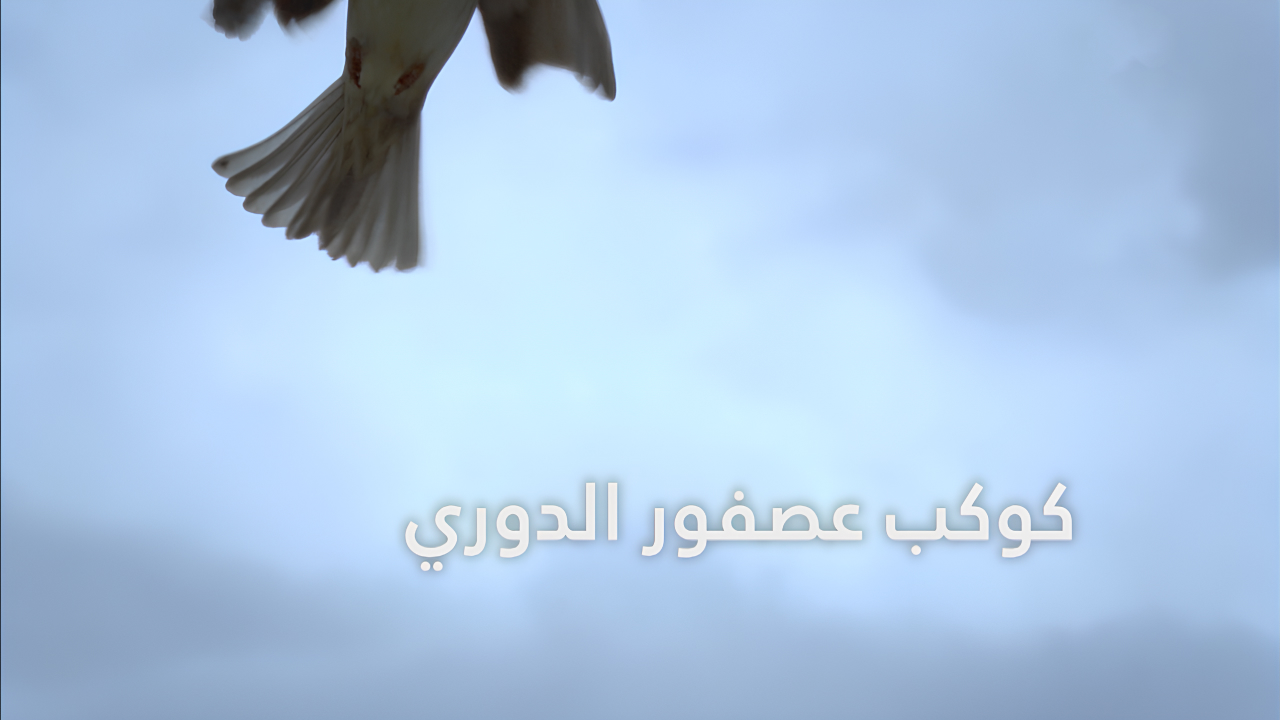 كوكب عصفور الدوري