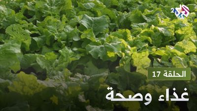  غذاء و صحة - الحلقة 17