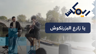 يا زارع البزرنكوش