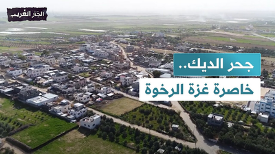 جحر الديك خاصرة غزة الرخوة