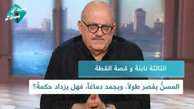 الثالثة نابتة و قصة القطة