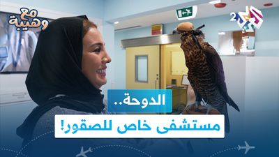 داخل مستشفى للصقور