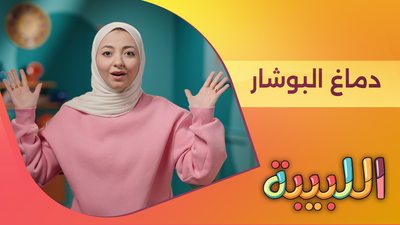 دماغ البوشار