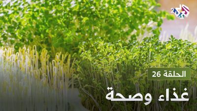  غذاء و صحة - الحلقة 26