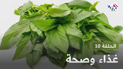  غذاء و صحة - الحلقة 10