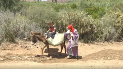 قرية شهباء ضاد - المغرب