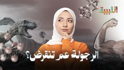 ليش هرمون الذكورة عم ينخفض حول العالم؟