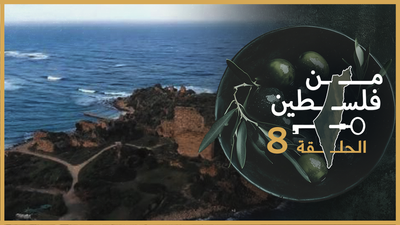 من فلسطين - الحلقة 8