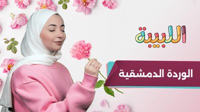 من الهيمالايا لسوريا … رحلة وردة ما بتموت