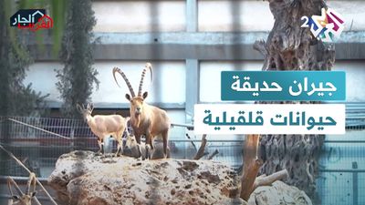عندما تعيش الحيوانات مع البشر في سلام ومحبة