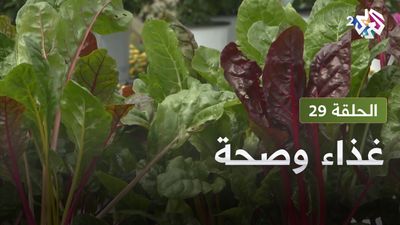  غذاء و صحة - الحلقة 29