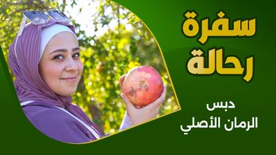 تحضير دبس الرمان بالطريقة التقليدية من بساتين دركوش