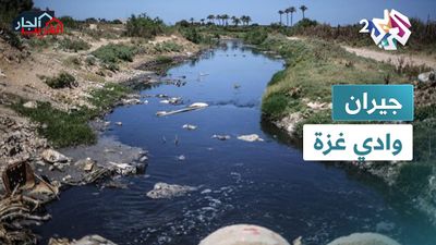 وادي غزة.. من محمية طبيعية إلى كارثة بيئية