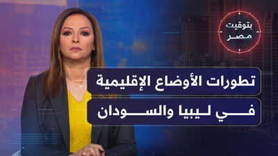وزير الخارجية المصري يبحث مع مستشار ترمب التطورات الإقليمية الراهنة