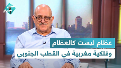 عظام ليست كالعظام وفلكية مغربية في القطب الجنوبي