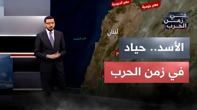 الأسد، حياد في زمن الحرب