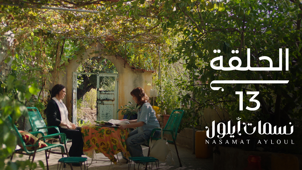  13 Alaraby Plus