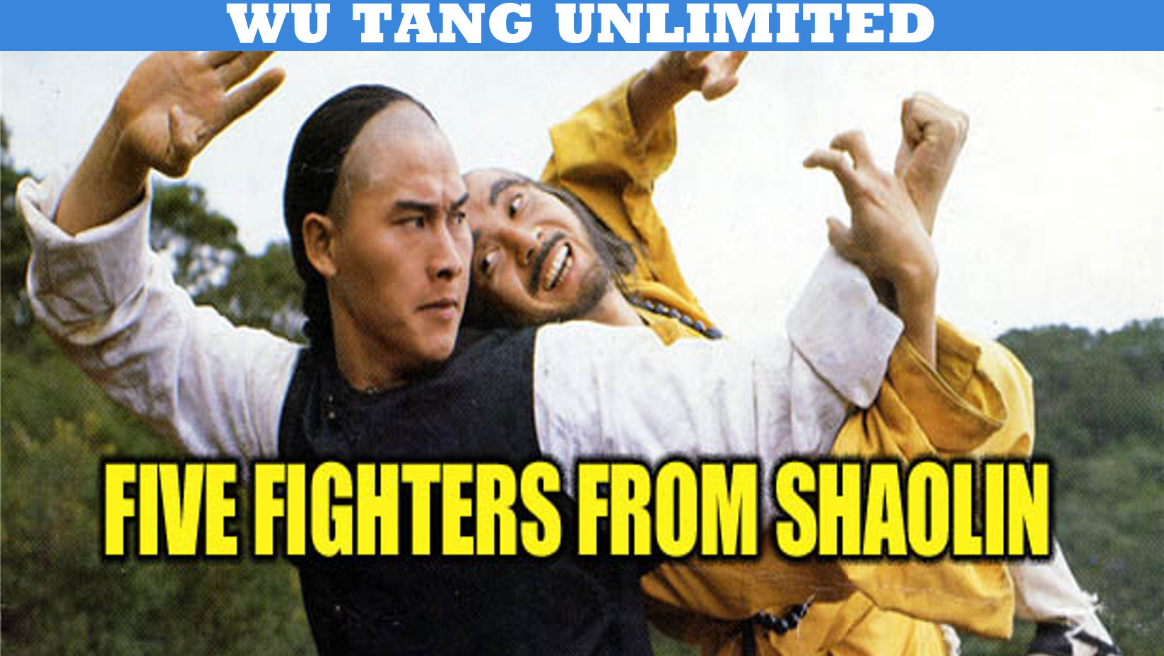 5 Fighters From Shaolin