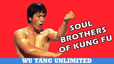 Soul Brothers Of Kung Fu