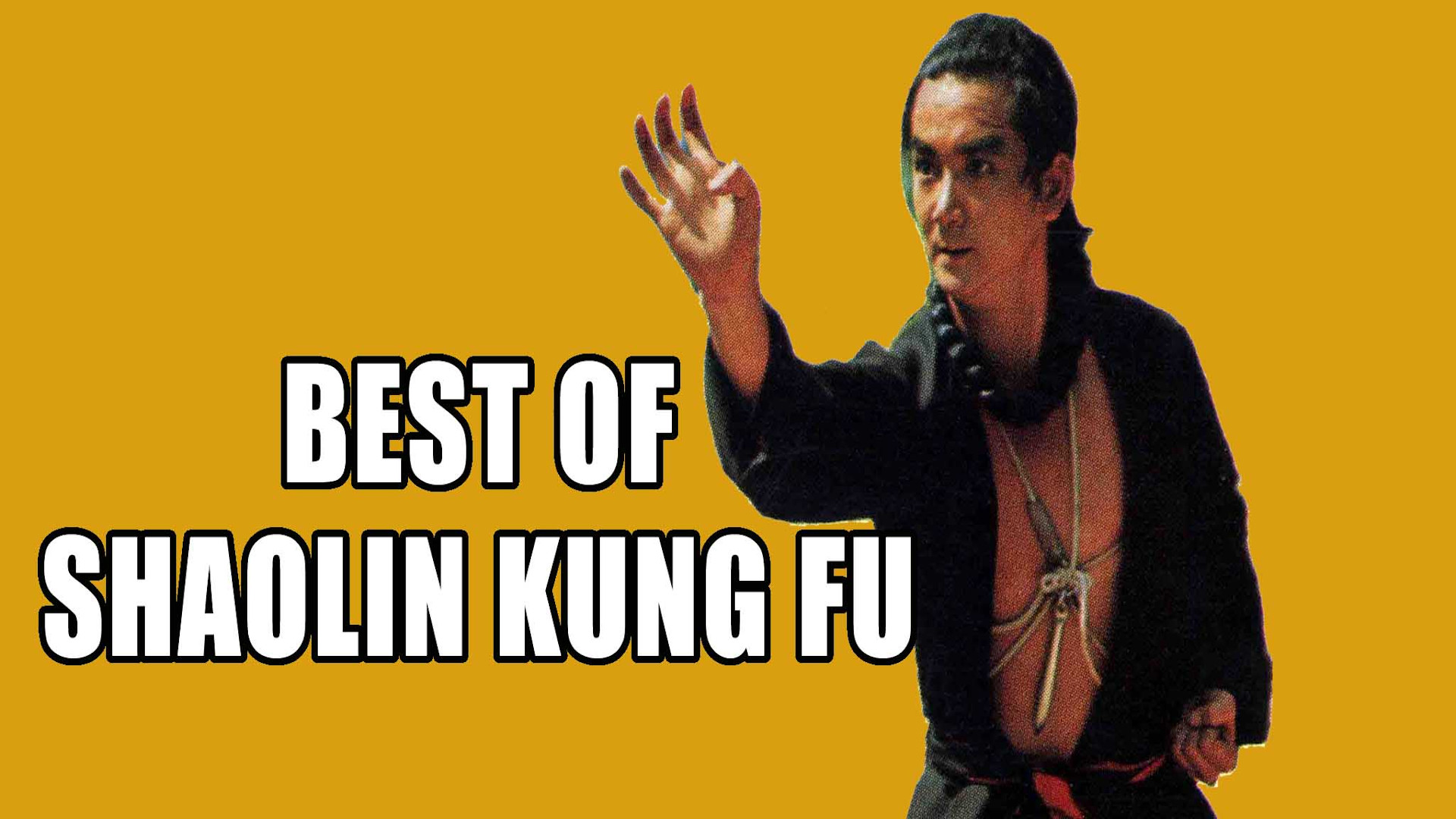 Best Of Shaolin Kung Fu | Wu Tang Collection