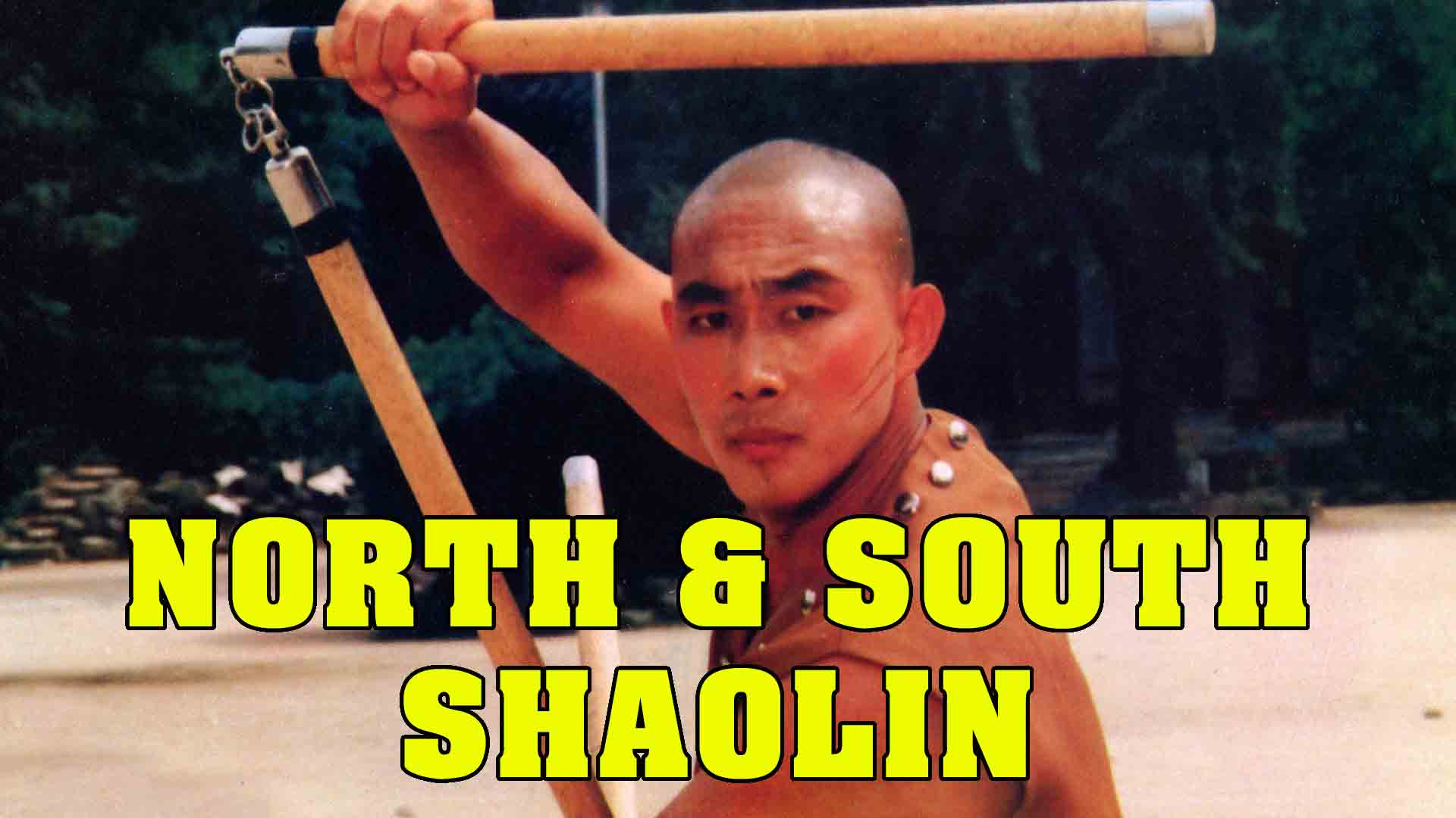 North And South Shaolin | Wu Tang Collection