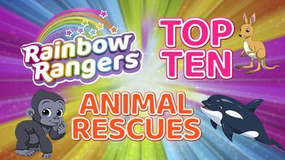 Top 10 Animal Rescues