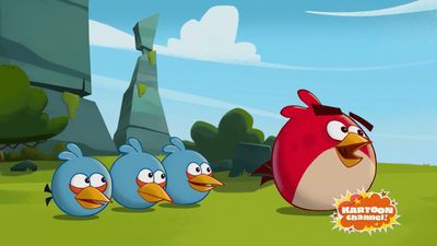 Angry Birds | Kartoon Channel