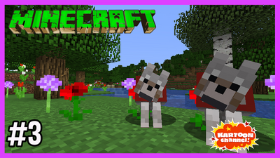 My New Dogs!
