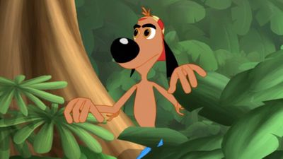 Zulu's Second Chance