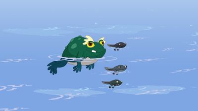 Burpee’s Cousins Come To Stay