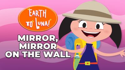 Mirror, Mirror on the Wall