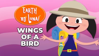 Wings of a Bird