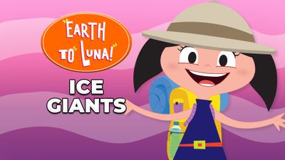 Ice Giants